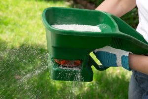image of someone spreading fertilizer on grass