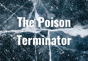 Frozen windshield with ice and snow displaying the text "The Poison Terminator"