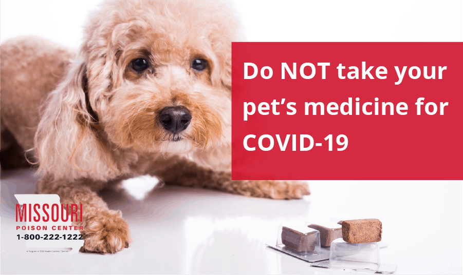 Fluffy dog lying next to pet medication tablets with text: Do NOT take your pet's medicine for COVID-19. Missouri Poison Center 1-800-222-1222