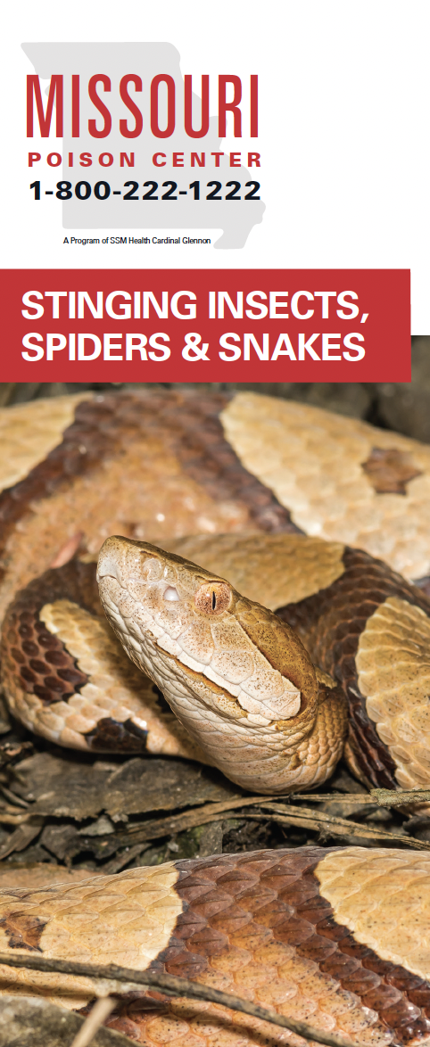 Stinging Insects, Spiders, & Snakes