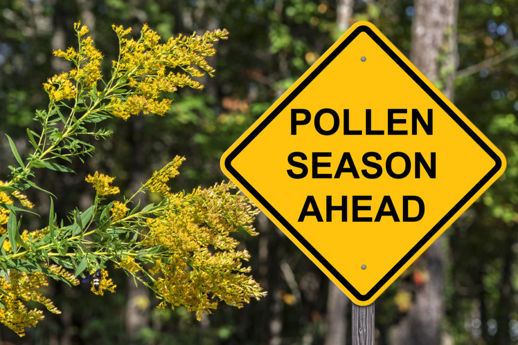 A street sign reading “Pollen Season Ahead