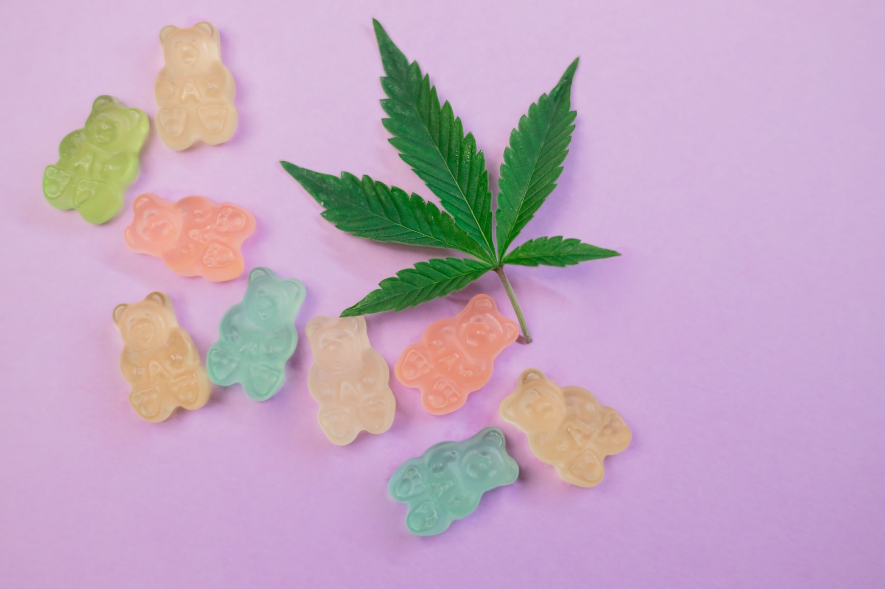 Colorful cannabis-infused gummy bears arranged around a marijuana leaf on a pink background