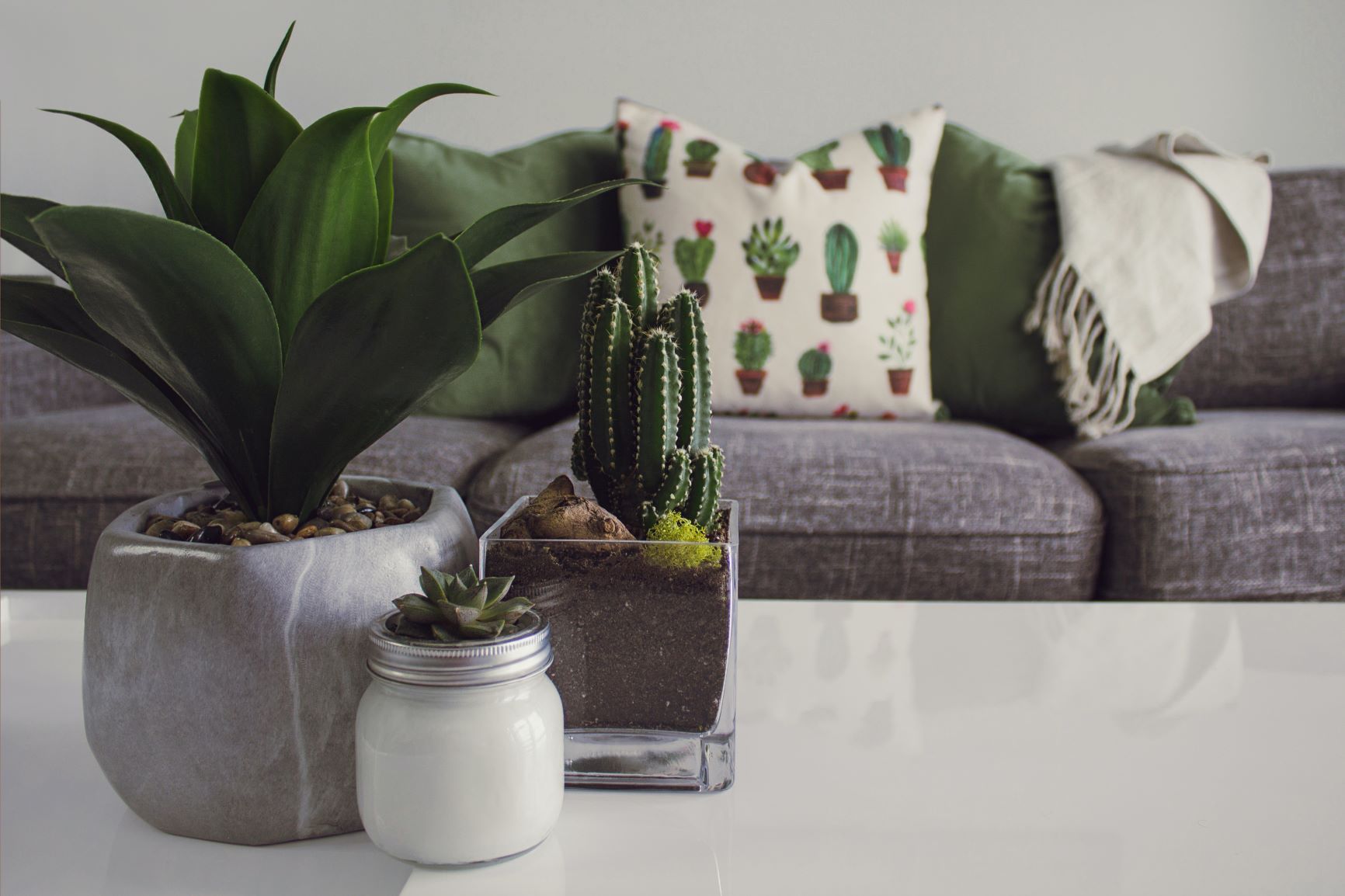 Three potted succulents ranging from small mason jar to large stone pot, sit on a white table as decoration in front of a couch.
