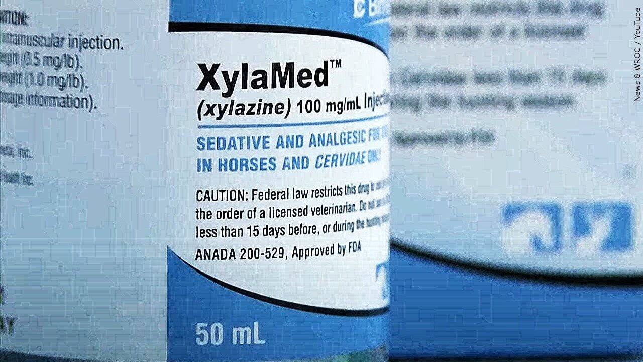 Close-up of XylaMed (xylazine) 100 mg/mL veterinary injection bottle label