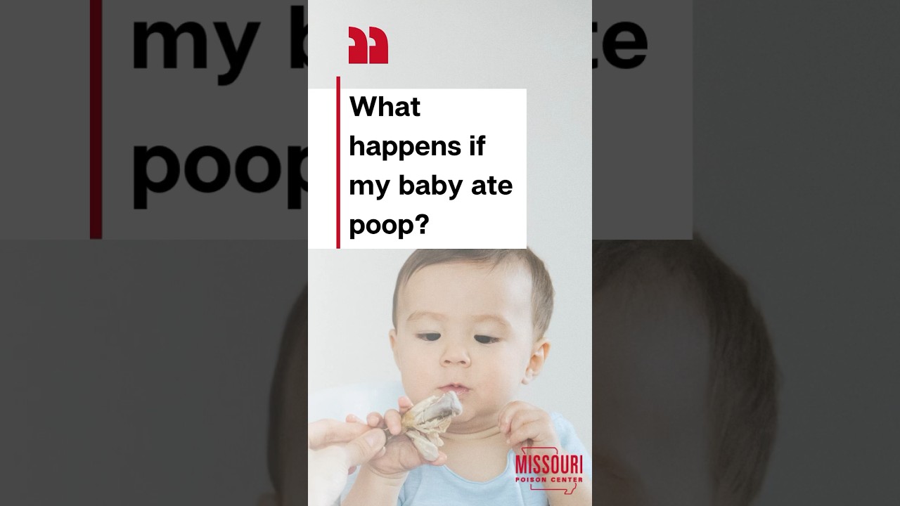 Baby eating a chicken wing